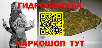 apvp Гагарин